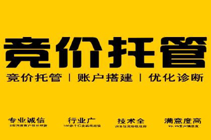 百度竞价代运营的长期效益与价值探讨